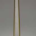 EZVALO Picture Light for Wall, 4800mAh Rechargeable Wireless Remote Lights, 16'' Dimmable Magnetic LED Art Painting Light with 3 Color Temps, Display for Gallery, Living Room, Bedroom, Hallway (Gold)