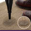 DEXI Ultra Thin Entryway Indoor Door Mat 17x30, Non Slip Rubber Backing Inside Entry Mat, Low Profile Easy Clean Dirt Trapper Doormat for Inside Entrance Patio, Beige