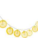 Fun Express 4 Ft. 11" Yellow Lemon Slices String Lights