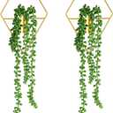 Jexine 2 Pcs Boho Wall Decor Gold Hanging Planters with Artificial Plants Wall Art Mounted Metal Home Decor Display Bedroom Bathroom Living Room (Succulent Plants)