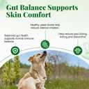 Probiotics for Dogs - Dog Probiotics & Enzymes 12 Billion CFU 10 Strains, Psyllium Husk, Apple Cider Vinegar Gut Health, Bloating Relief, Regularity Support 120 Chews