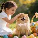 Easter Dog Collar with Bow Tie, Cotton Bunny Bowtie for Large Girl Boy Dog, Cute Rabbit Pet Collar with Metal Buckle, Gift, S