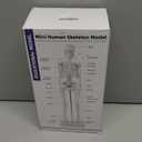 17.7 inch Mini Human Skeleton Model for Anatomy Study, Halloween Skeleton Decor with Movable Arms and Legs, Realistic Scientific Skeletons for Educational Display and Halloween Decoration