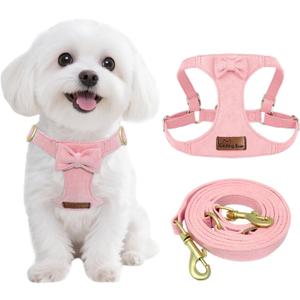 Guiding Star Dog Harness Small Sized Dog with Multifunction Leash, No Pull Puppy Dog Harness and Leash Set Training, Cute Soft Adjustable Dog Walking Harness Pet Vest Harness (Pink-XS) (XS(4.5-11lbs))