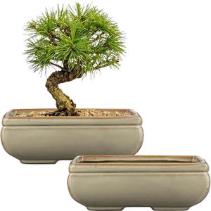 Ceramic Bonsai Pots with Drainage Hole, Set of 2 Rectangular Glazed Bonsai Planters for Indoor/Outdoor Use, Shallow Brown Bonzai Tree Pots for Succulent, Orchids, Cacti, Home, Patio, Garden, 8.7"x5.9"