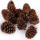 JOHOUSE 12 Large Natural Pine Cones (3.5"5"), Rustic Pinecone Ornaments for Christmas Tree, Wreath Making, Vase/Bowl Filler Fall & Winter Decor