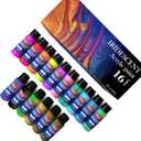 HissiCo Iridescent Acrylic Paint Set of 16 Chameleon Colors 60ml 2 OZ Bottles, High Viscosity Shimmer Paint for Artists, Beginners on Rocks, Crafts, Canvas, Wood, Fabric, Ceramic