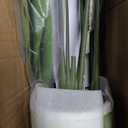 Bird of Paradise Artificial Plant, 5ft Tall Faux Plant Indoor with 10 Trunks, Large Fake Plants Perfect Indoor Artificial Tree for Home Living Room, Office Decor