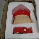 BNOSDM Ceramic Hamster Hideout and Food Bowl Set Cute Mushroom Shape Hamster House and Habitat Cool Hamsters Hide Suitable for Syrian, Mice, Dwarf Hamsters, Gerbils (Red)