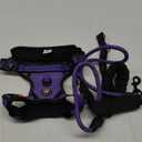 IVY&LANE No Pull Dog Harness for Medium Dogs, Dog Vest Harness with Leash, Safety Belt and Storage Strap, Fully Adjustable Harness, 360 Reflective Strip, Soft Handle (Purple, M)
