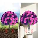 BLOSMON Fake Outdoor Mums Flowers with Stakes, Set of 2, Pink Purple