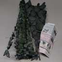 22 Pcs Large Dried Eucalyptus & Silver Dollar Leaves Bundle - Natural Real Fresh Eucalyptus, 17" Preserved Eucalyptus Stems for Shower Hanging, Bathroom Decor, Garland, Greenery Plant (22)