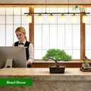 Der Rose 2Pcs Small Fake Plants Artificial Bonsai Tree Set Ficus and Cedar for Office Desk Shelf Room Home Zen Decor Indoor