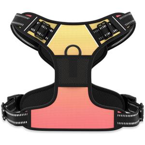 Rnivvi No Pull Dog Harness, Cute Reflective X-Large Sized Puppy Harness, Adjustable Soft Padded Vest for Large Dogs, Heavy Duty Pet Vest with Easy Control Handle for Walking, Abstract Gradient
