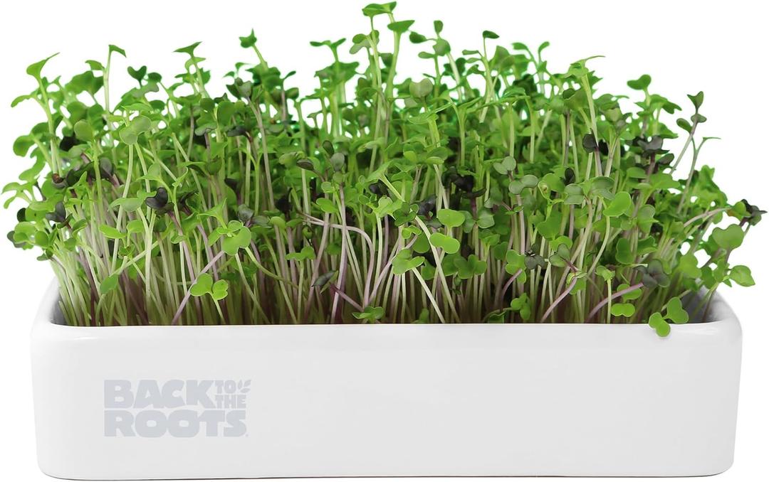 Back to The Roots Organic Microgreens Grow Kit with Ceramic Planter, Expandable Soil, Organic Seeds, and Germination Lid