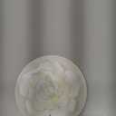 Passive Diffuser for Essential Oil-Ceramic Diffuser Non Electric Oil Diffusers for Small Mini Room, Desk Decorative, Bathroom (Impatiens)