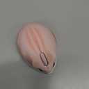 2.4GHz Wireless Mouse Cute Hamster Shape Less Noice Portable Mobile Optical 1200DPI USB Mice Cordless Mouse for PC Laptop Computer Notebook MacBook Kids Girl Men Women Adults Gift (Pink)