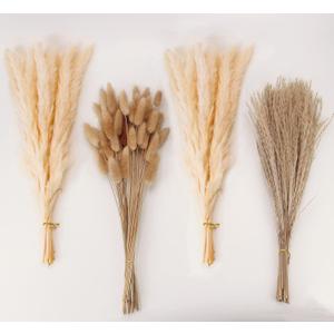 Natural Dried Pampas Grass Decor, Beige Pampas Grass, Bunny Tails Dried Flowers, Reed Grass Bouquet for Wedding Boho Flowers Home Table Decor, Rustic Farmhouse Party (100 in Total )