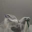 Potty Training Seat, SKYROKU Toddler Toilet Seat for Kids Boys Girls, 2 in 1 Potty Training Toilet, Splash Guard Anti-Slip Pad Step Stool, New Sector-Shape Stabilized Base (8899+Grey)