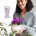 African Violet Pots Self Watering  6.5W x 4.6H Ceramic Self Watering Pots for Indoor Plants with Glazed White Outer Pot & Absorbent Inner Pot for Easy Plant Care