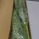 FOREST PRINCE 35" Ferns Artificial Bush Plants Large, 2 Artificial Boston Ferns with 39 Fronds for Outdoors Home Decor