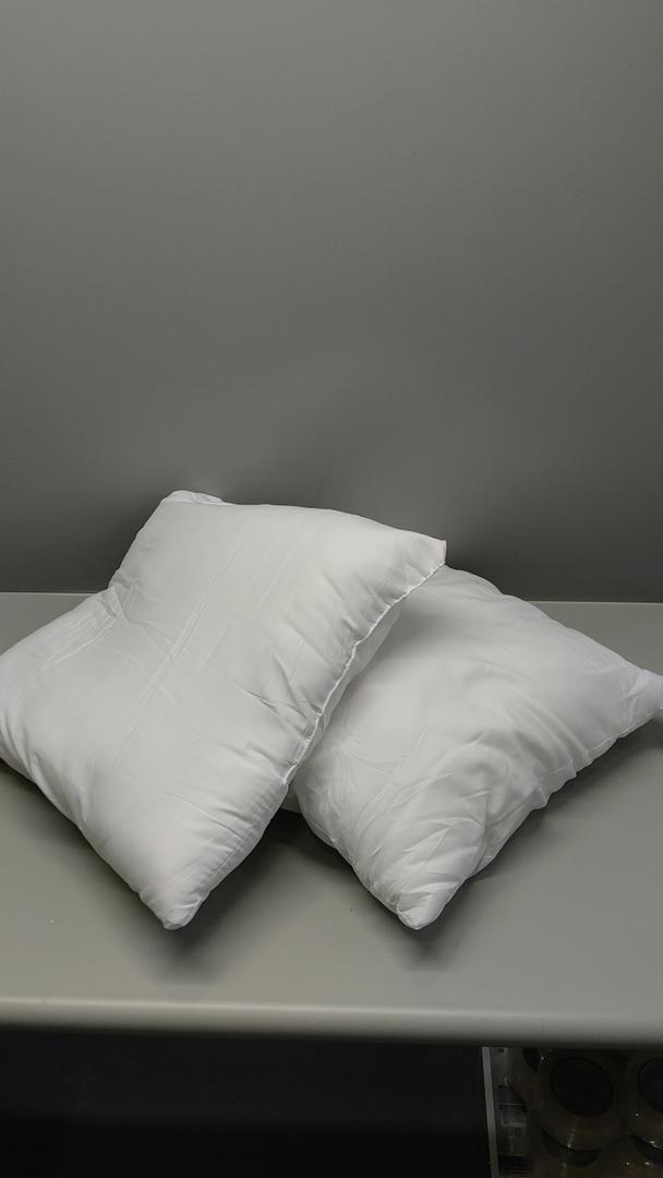 Pillow Inserts (Pack of 2, White), 18 x 18 Inches