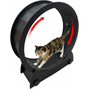 Portable Cat Running Wheel for Indoor Cats 44" Large XL 12" Wide, Cat Treadmill, Wheel with Carpeted Runway for Kitty’s Longer Life, Moveable Safe & Stable Design.