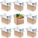 Nuanchu 10 Pieces Insulated Shipping Boxes, 9" x 5" x 6" Double Insulated with Aluminum Foil Liner Thermal Insulation Cold Reusable Mailing Box for Cold Food, Shipping, Mailing, Packing