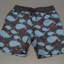 Simple Joys by Carter's Toddlers and Baby Boys' Swimsuit Trunks Size 4T