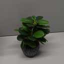 Artificial Potted Plant, Real Touch Artificial Oak Leaves Waterproof Fake Plants Indoor Outdoor, Eco Friendly Modern Concrete Greenery Plant Pots for Office Home Kitchen Shelf Farmhouse Decor