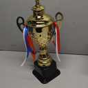 Fasmov Large Trophy Cup, Gold Trophy Award Cup for Sports, Tournaments, Competitions, 1st Place Award, Ceremony Celebration Party Gift, 14.5 inches