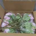 12 Bundles Fake Artificial Peonies Silk Flowers Fake Peony Bouquet Faux Peonies Flowers Bulk for Decoration Florals Arrangements Wedding Home Party Table (Champagne)