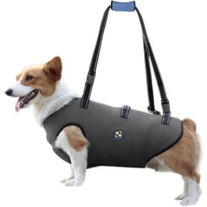 Coodeo Dog Lift Harness, Pet Support & Rehabilitation Sling Lift Adjustable Padded Breathable Straps for Old, Disabled, Joint Injuries, Arthritis, Loss of Stability Dogs Walk (Grey, S)