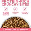 Purina ONE High Protein, Natural Dry Kitten Food, +Plus Healthy Kitten Formula - 7 lb. Bag (EXP 11/01/26)