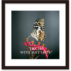 18x18 Frame Black With Mat 14x14 Solid Wood Picture Frames Wall Mounting (Pack of 1, 18x18 Inch)