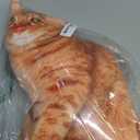 19.6'' Cat Throw Pillow - Plushie Cushion Doll 3D Simulation Cat Plush Stuffed Animal Cushion Pillow Toy for Kids, Sofa Chair Home Decor (Orange)