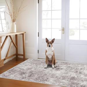 3x5 Washable Area Rug for Entryway: Small Abstract Neutral Rugs GrayCream
Premium Non Slip Backing Machine Washable Soft Low Pile Design Easy Clean for Kitchen Bathroom Bedroom and Pet Feeding Area