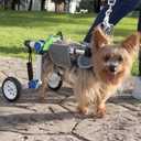 Dog Wheelchair, Adjustable Dog Wheelchair for Back Legs, Stable Dog Cart for Disabled Hind Legs, Help Small Pets with Paralyzed Hind Legs Regain Mobility