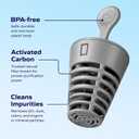 Standard Replacement Filters (6-Pack)