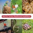 150W R40 Infrared Heat Lamp Bulb for Chicken Brooder, Pets, Reptiles, Bathroom & Sauna, E26 120V, 2000Hrs Red Light Therapy, 1-Pack