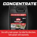 Ortho GroundClear Year Long Vegetation Killer2 Concentrate - Weed Killer Concentrate, Kills and Prevents Weeds Up to 1 Year, 1 gal.