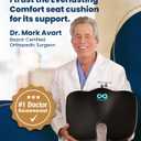 Everlasting Comfort Doctor Recommended Memory Foam Seat Cushion for Office Chairs & Car - Ergonomic Office Desk Accessories - Cushions for Tailbone Pain Relief, Sciatica (Black Airflow, Large)
