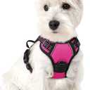 rabbitgoo Dog Harness No Pull with 2 Leash Clips, Adjustable Soft Padded, Reflective Oxford No Choke Pet Vest with Easy Control Handle for Puppy, Hot Pink, XS