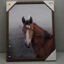 Crystal Art Gallery Highland Horse Framed Decor  18 x 22 in