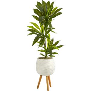 Nearly Natural 46in. Dracaena Artificial Plant in White Planter with Stand (Real Touch)