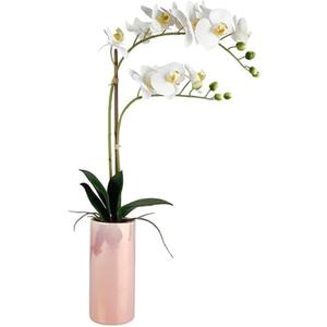 Dolly Parton White Artificial Orchid in Pink Ceramic Pot, 9.8x5.5x24 Inch
