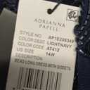 Adrianna Papell Women's Bead Long Dress with Godets, Light Navy, 14W (Blue)