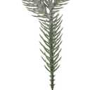 hpus Pine Needle Greenery, Plastic Flowers, Christmas Accessories, Wedding Props, Outdoor Wedding Decoration, Home Decoration Crafts, Holiday Decorations Style2 (24 sticks per pack)