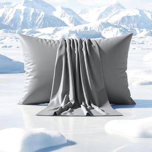 Cooling Pillow Cases for Hot Sleepers, 2 Pack Standard Size Cool Pillow Case Cover with Durable Zipper, Silky Soft & Stays Cool All Night, Gentle on Hair & Skin (Dark Grey)