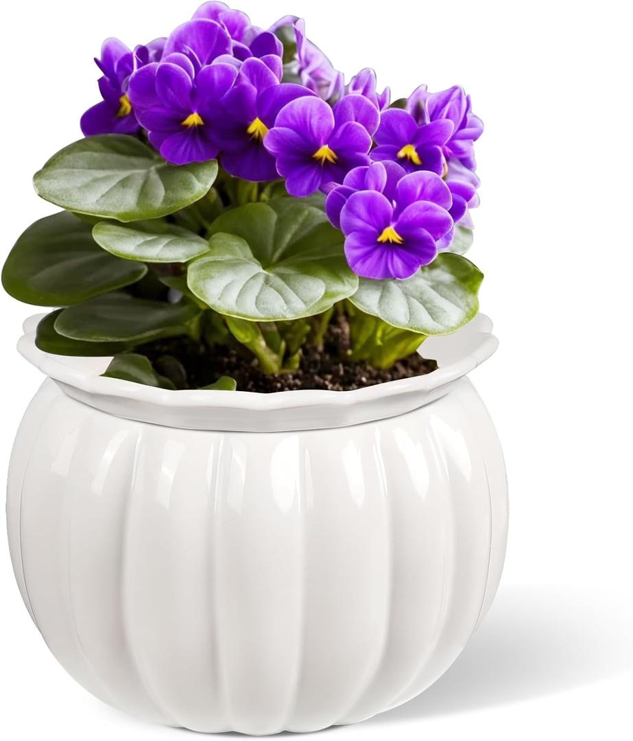 African Violet Pots, Self-Watering Ceramic Planter  6 Inch Pot for Indoor Plants, Succulents, Herbs & Small Houseplants, Simple Self-Watering Design for Home & Office Dcor, White (White-pumpkin Shape)